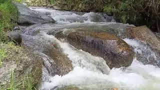 &Uacute;LTIMAS NOT&Iacute;CIAS DA FAMILIA VIDA DE CAMPO NA PR&Aacute;TICA!