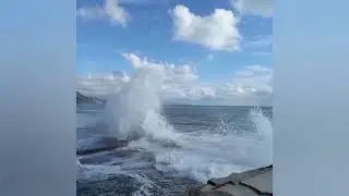 The Black Sea