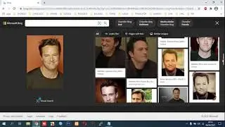 How to Use Bing Reverse Image Search