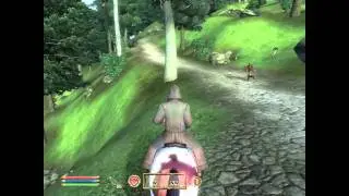 Automatic Heart Burn Generator: Oblivion