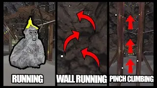 Gorilla Tag Guide of Basics | Gorilla Tag VR