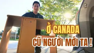 Không Thể Ngừng LƯỢM VE CHAI Ở Canada !