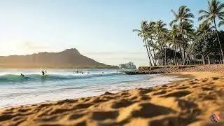 Hawaii Reggae Vibes 🌺 Tropical Island Grooves for Relaxation, Joy & Sunny Fun