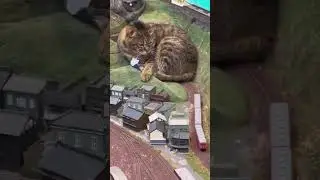 Giant cats destroy trains! 🚂🤣😾