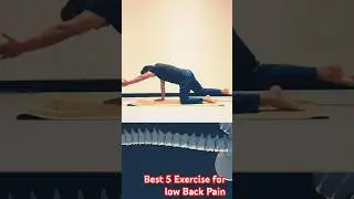 5 Easy Exercises for Back Pain Relief | Physiotherapy Tips&rdquo;#painfreelife #backpainrelief #shorts