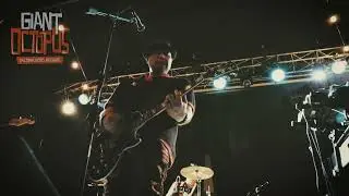 Rear View Mirror - Giant Octopus - Real Art Tacoma - 04.24.2025
