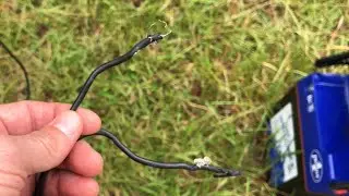 MOUSE PROOFING Solar Panel Wires