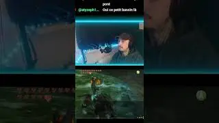 Link met le BORDEL 😅😈 #zelda #twilightprincess