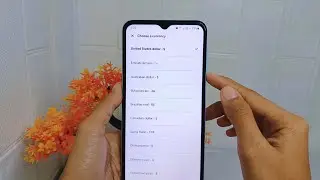 How To Change Currency In Airbnb App