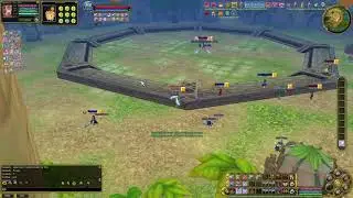 Insanity Flyff Slayer PvP