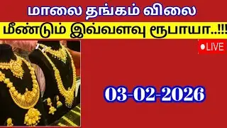 Evening gold rate | 03-02-2026| Today gold and silver rate|Thangam vilai intru|gold and silver rate 