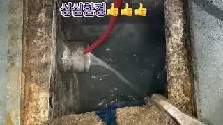 구로 음식먹자골목 치킨집 홀 화장실 냄새제거 배관 고압세척및 냄새차단 트랩설치 완료 타업체실패현장 전문 성심환경 1855-2929 