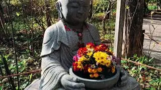 Kamakura, Japan Autumn 2018