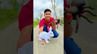 Remote control spider and Rabbit Unboxing