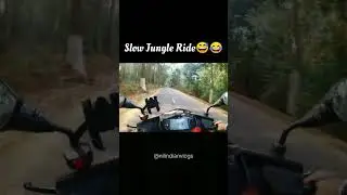 Slow Jungle Ride😅😂 #bikeride #biker #scooter #bikerider #bike #duke #ntorq #ride #rider #shorts #yt