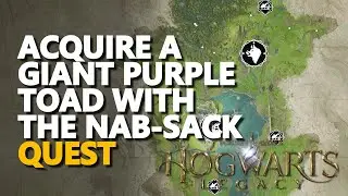 Acquire a Giant Purple Toad with the nab-sack Hogwarts Legacy