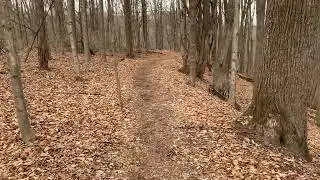 More from the Boundary Trail (Baltimore Woods Nature Center)