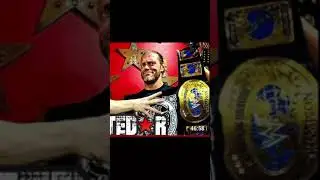 Real WWE Oval Intercontinental Belt #shorts #wwe #wrestlemania #Collection WWE Replica Belt Review