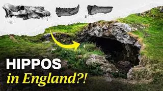 22 Species. One Cave. And the Discovery That Rewrote Time