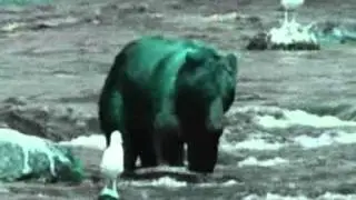 eruck mungkinkah
