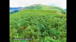 Beda Fell, with Brian - Revisited February 2026