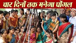 Pongal: About 4-Days Festival | चार दिनों तक मनाया जाता है, चार तरह का पोंगल त्यौहार | Boldsky