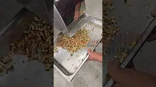 Processed Mango Cutting Machine  (VDM) By-GLOBAL KITCHEN EQUIPMENTS COMPANY