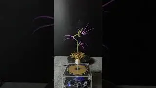 Lightning + Plants ep3
