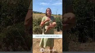 ✨ Natural Induced childbirth: An Oxymoron ! #birthprep #duedate #induction #labour #positivebirth