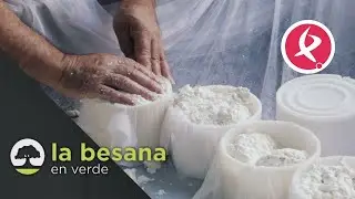 Quesos con sabor a tradición | La besana en verde