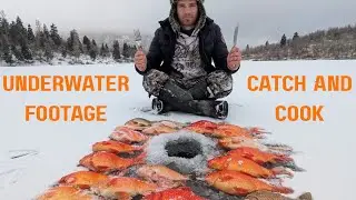 Goldfish Ice fishing Catch and Cook: Awesome Underwater Footage