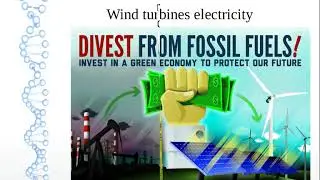 Return on investment from Solar electricity for your Home & Business