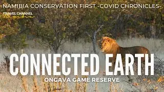 E11 CONNECTED EARTH