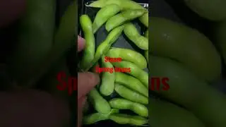 steam spring beans #shorts #mychannelcadungog