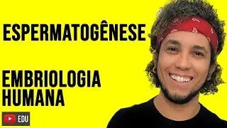 GAMETOGÊNESE: Espermatogênese - Formação de Espermatozoides / Aula de Biologia com Prof. Patrick