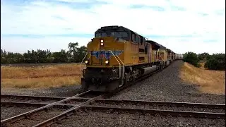 4K Ultra HD 60FPS: Railfanning Binney Junction Marysville, CA Ft. Union Pacific & BNSF Freight Train