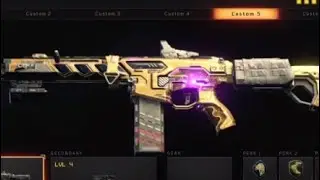 Found the secret hidden camo in bo4!!