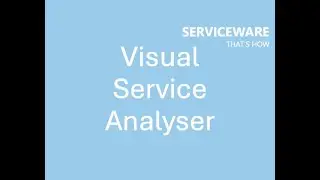 Visual Service Analyser by Serviceware