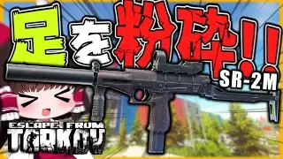 【EFT】SR-2M×PE弾を使用してPMCの足を砕く！【タルコフ】【ゆっくり実況】