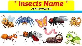 Insects Name | Learn Insects Name for Kids | Toyshala