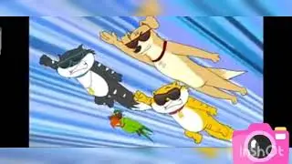 Honey bunny friendship