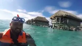 Honeymoon in Paradise- Moorea Island