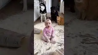 👶🐶🐱 Kitchen Calamity Flour Disaster