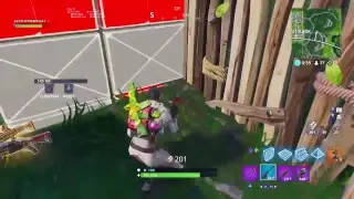 Fortnite pro