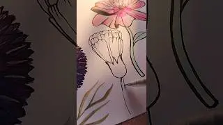#flowerart #flowerdrawing #lifestore