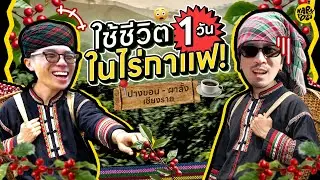 ใช้ชีวิต 1 วัน ในไร่กาแฟ | KARNFOEI EP.119