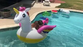 Lava Pool Float Challenge