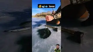 @GOREC_KZ @4minar-7703 🐠🐋🐟lovers#trendingshorts #fishing #fishingvideo #youtubeshorts #funn