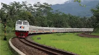 TRAINS GALORE ! railfanning 2022