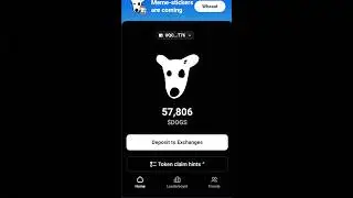How to claim Dogs coin to your Bybit Wallet #Dogs #bybit